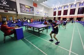 篮球篮网球队训练赛完成